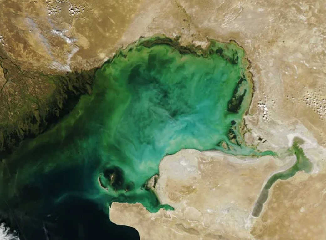 2006